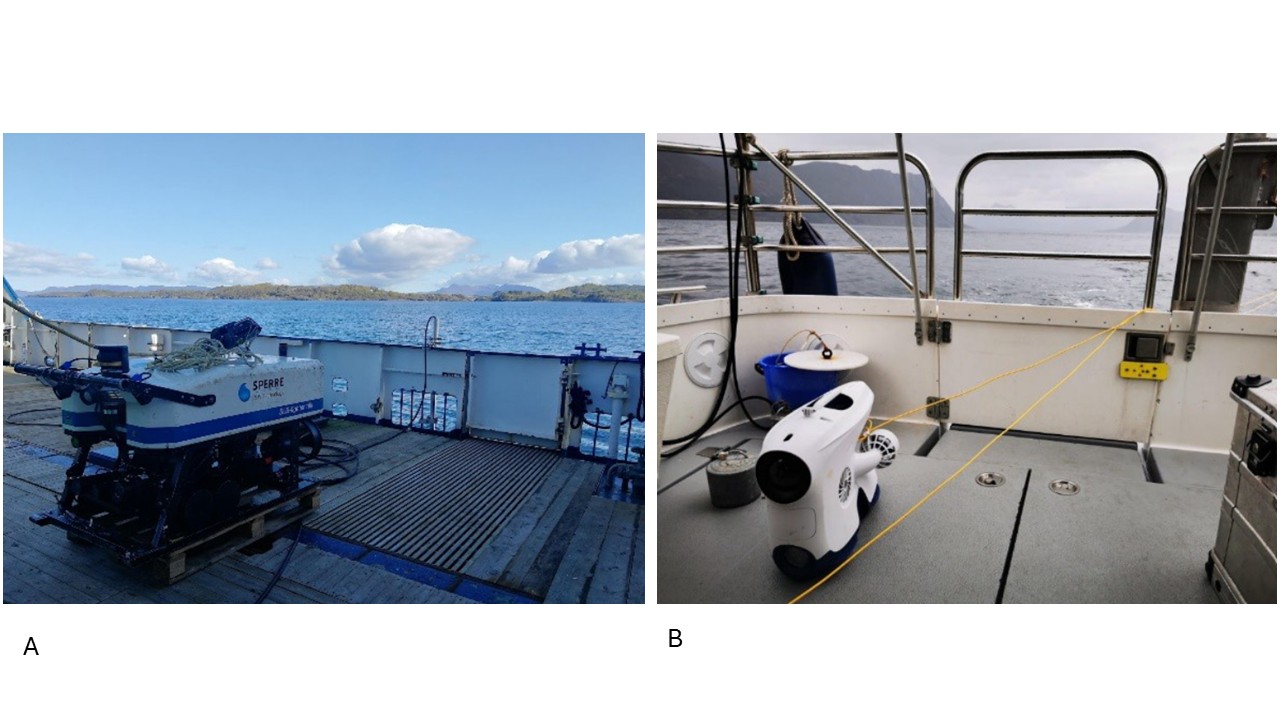 Figure 2b. Examples of different price ranges for ROVs. The ROV in image b) will cost around NOK 500–2000 per day (estimate for 2024).