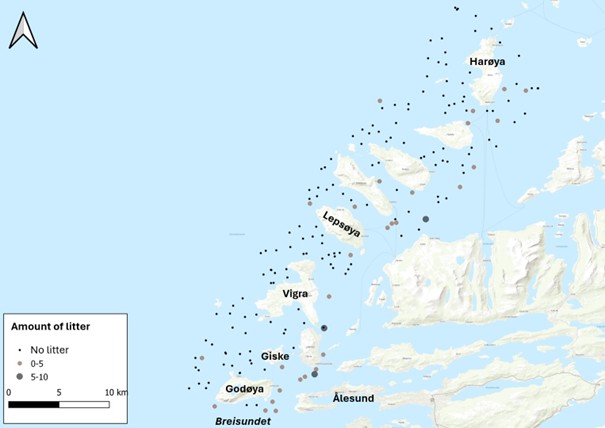 Figure 3. Video transects with and without observed litter in Marine Base Map surveys in Ålesund and Giske. Data retrieved from GeoNorge.