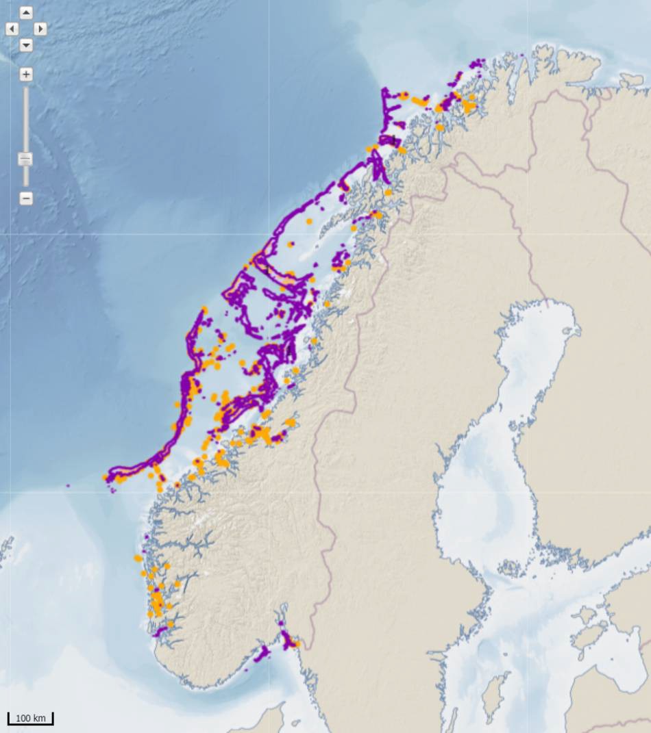 Figure 30. Example of vulnerable areas such as coral reefs in Norwegian sea areas. Orange circles: Observed coral reefs. Purple areas: Areas modelled as having the potential for coral reefs. Source: Mareano.no