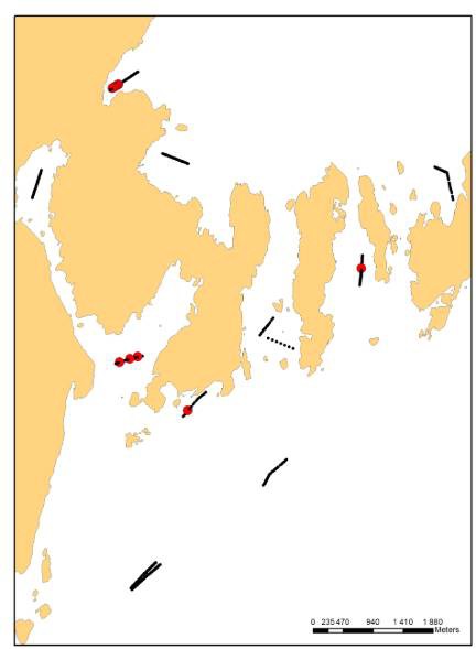 Figure 12. Position of the 11 video transects conducted around Ånuglo, Vestland.