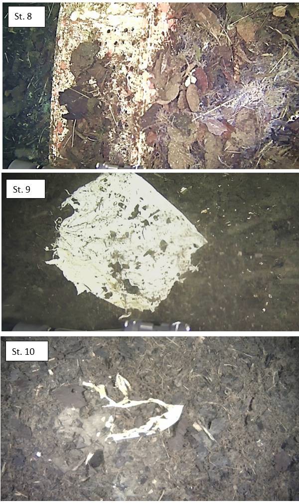 Figure 8. Examples of litter observed at different distances from the river mouth in Lundsvika. Closest to the river (station 8), there was little litter; the photo shows a flower box. Further out in deeper water at station 9, there was a lot of white agricultural plastic packaging. At the furthest point (station 10), pieces of plastic from agricultural plastic packaging were very common. Taken from Buhl-Mortensen, 2023.