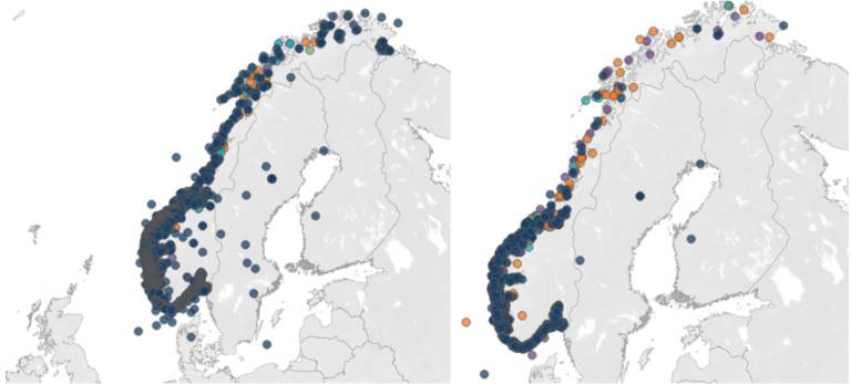 Figure 23. Distribution of reported lost gear from recreational fishermen from 2013-2024 (left). Distribution of reported finds of lost gear from 2013-2024 (right). Data taken from the Directorate of Fisheries' overview of lost and found gear (Directorate of Fisheries, 2017).
