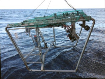 Figure 1. The video rig ‘Chimaera’ equipped with several video cameras, laser pointers for size measurement, transponders for positioning and CTD.