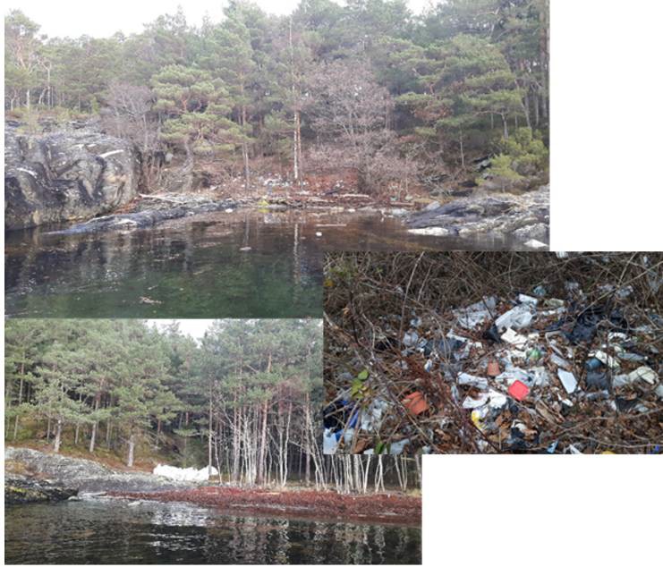 Figure 10. Beach clean-ups have revealed that there is a lot of plastic and other litter on beaches in the area, which has probably accumulated over a long period of time (Photo: B.E. Grøsvik, Institute of Marine Research). Retrieved from Buhl-Mortensen & Buhl-Mortensen, 2023.