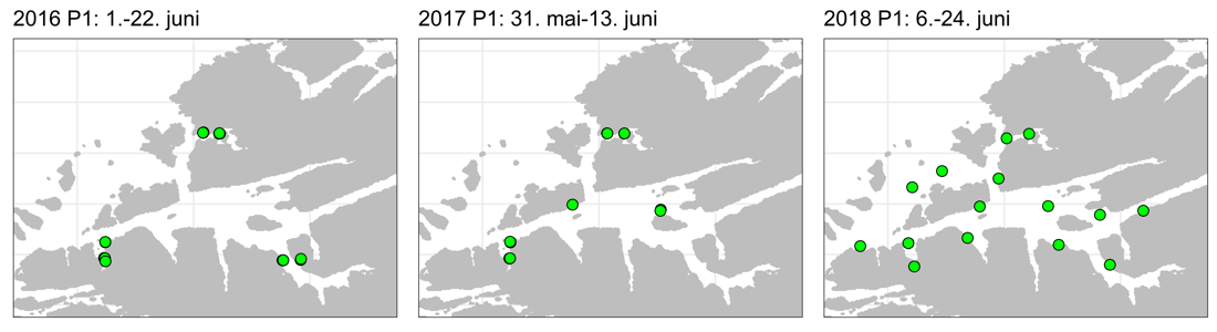 Figuren viser snitt av antall lus/fisk normalisert til 14 dager for utsatte smoltbur.