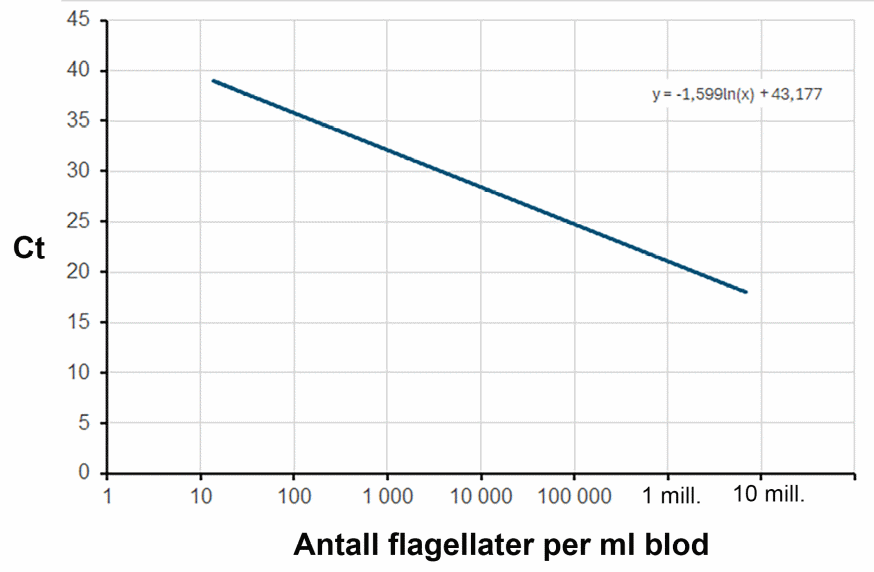 Forholdet mellom Ct på analyseprøven, og tettheten flagellater i fiskeblod. 