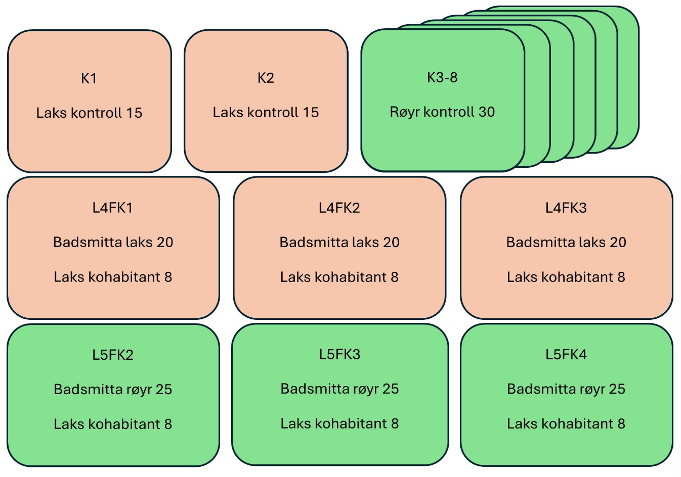 Figur 1. Oppsett av kar i smitteforsøket.
