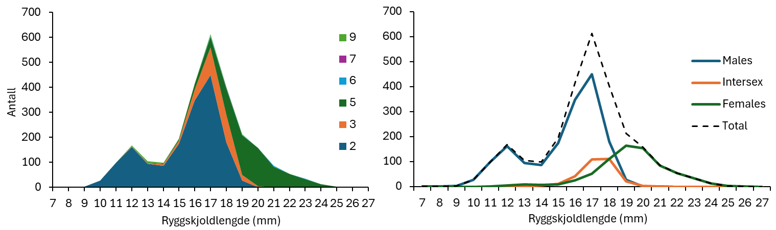 Tetthetsplott (venstre) og linjediagram (høyre). X-aksene ryggskjoldlengde fra 7 til 27 mm. Y-aksene viser antall og går fra 0 til 700. Plottet til venstre har følgende farger for de ulike stadiene (begynner nederst med stadium 2): 2=petroleumsblå, 3=oransje, 4=mørk grønn, 5=lys blå, 6=lilla, 7=lys grønn og 9=mørk blå. Diagrammet til høyre har følgende fargebeskrivelser: Blå=males, oransje=intersex, grønn=females og stiplet linje er total.