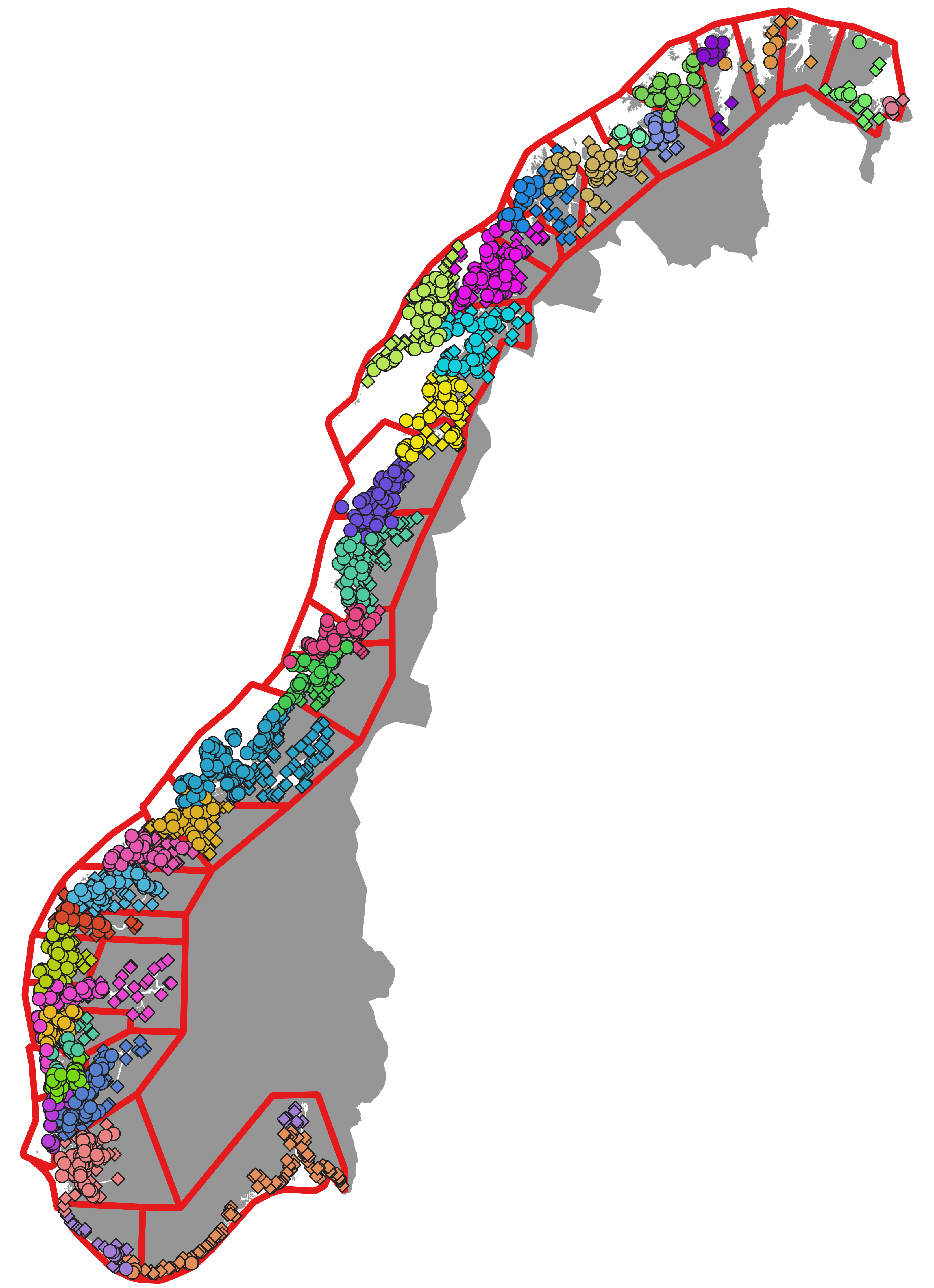Klyngeanalyse ørret