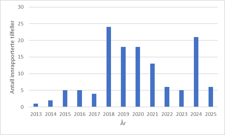 Figur 30.  Innrapporterte tilfeller av stranda krill per år.