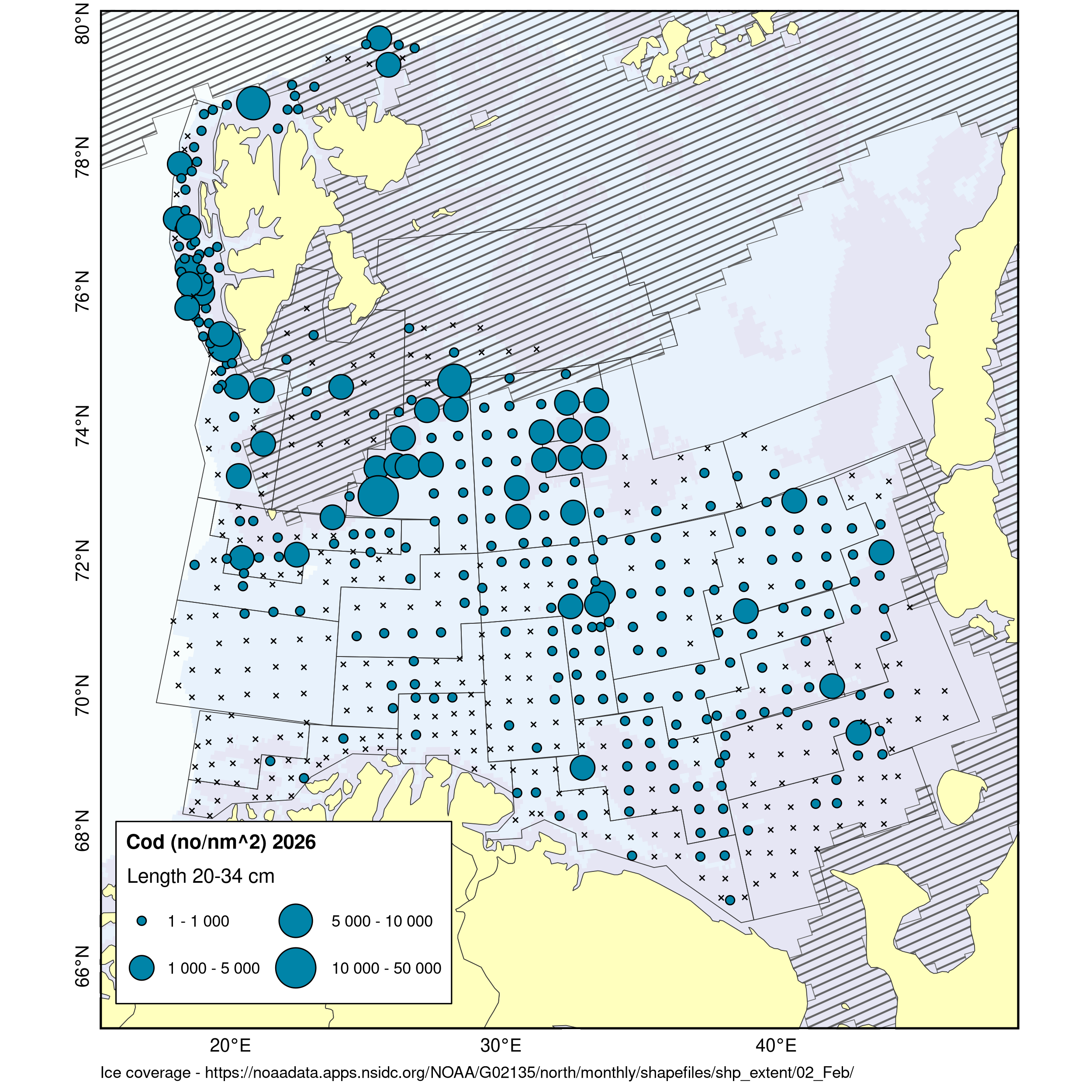 Distribution of cod 20-34 cm. Found mainly west and north in the survey area, very low catches in south and east.