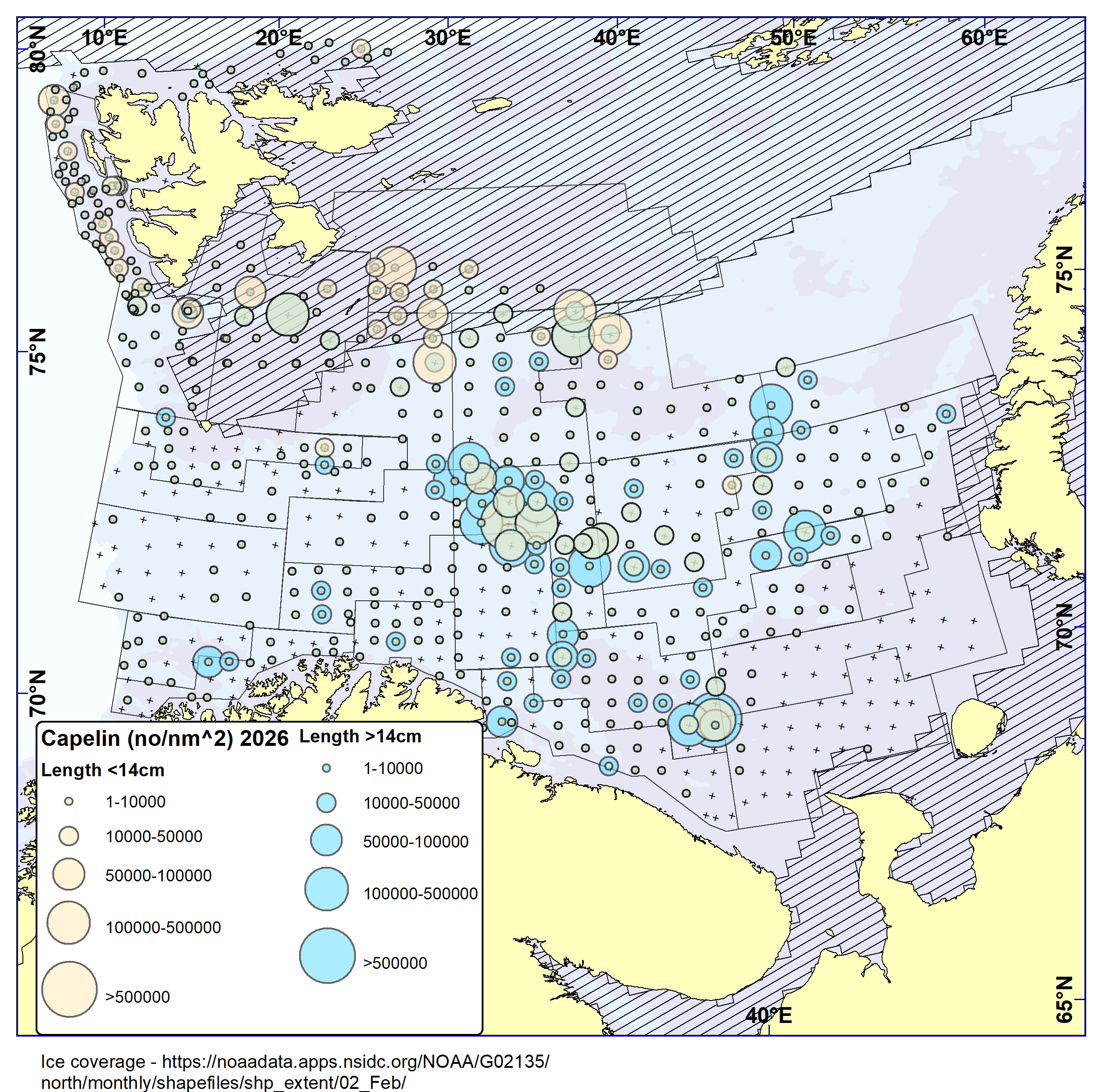 Distribution map of capelin of two size classes. The smaller fish (<14 cm, assumed immature) were distributed mainly in the northern parts of the survey area as usual, while larger fish (>=14 cm, assumed mature) were found in the central-southern parts.
