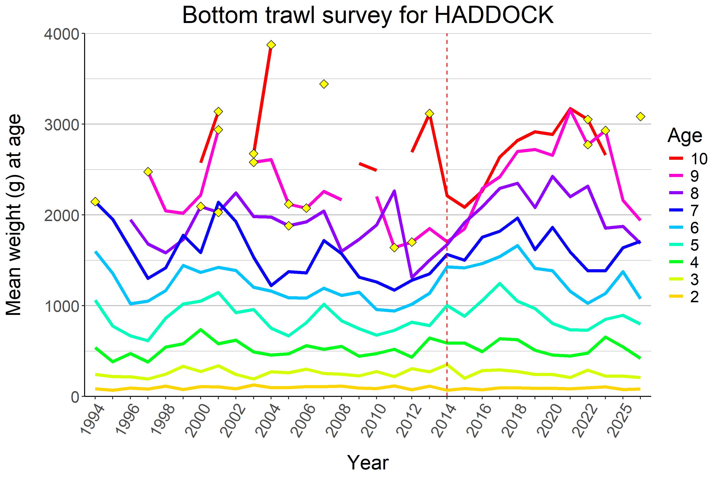 Mean weight at age for haddock shown as lines for each age over time. Weight at ages 4-6 and 8-9 went down compared to 2025, which weight of age 7 went slightly up.