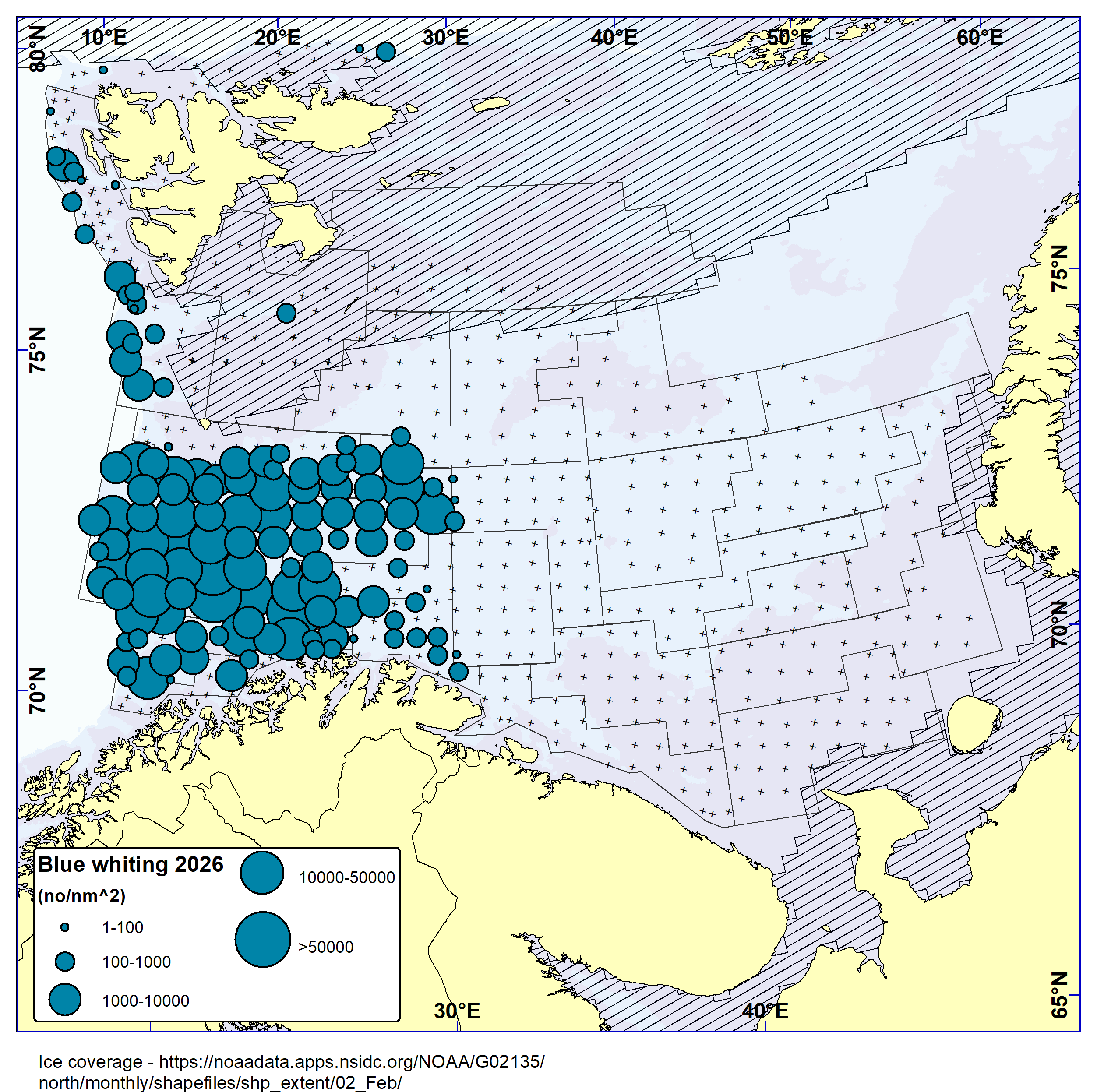 Distribution of blue whiting based on bottom trawl catches. This species is only found in the western parts of the survey area, mainly in the southern-central parts but also west of Svalbard.