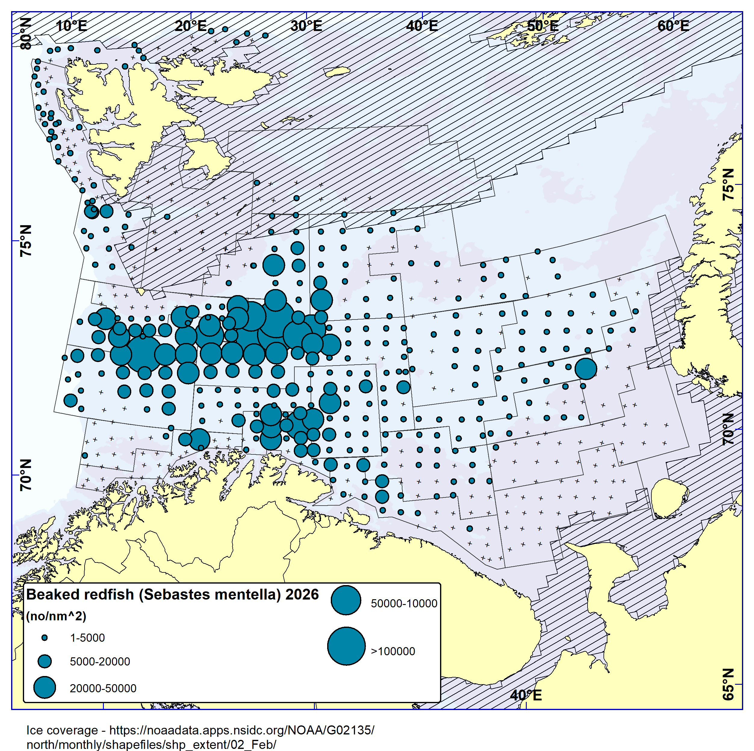 Distribution of beaked redfish catches in 2026. Main catches were taken in the deeper through in the central-western Barents Sea.