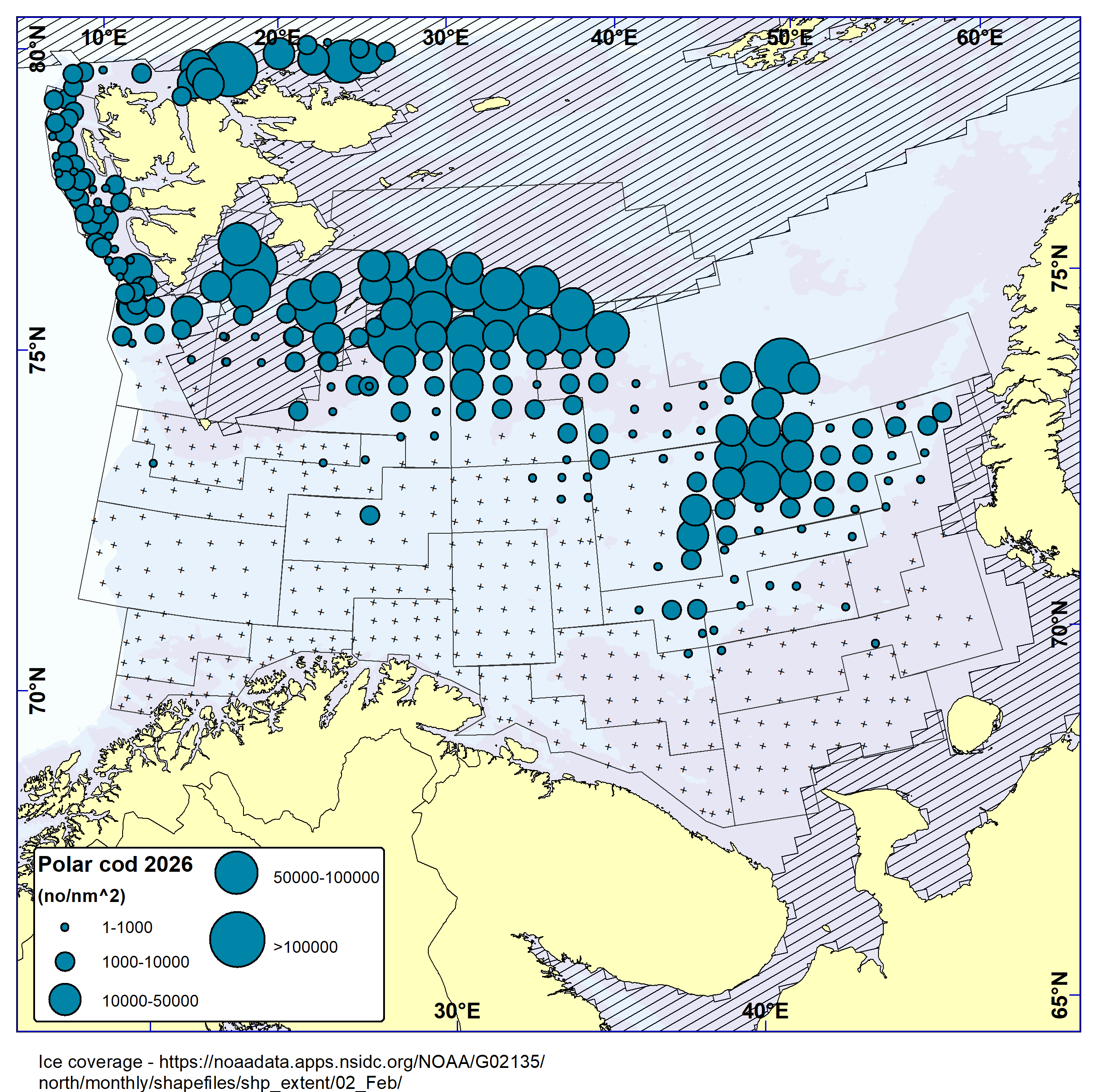 Distribution of polar cod based on bottom trawl catches. Highest catches found in northern parts of survey area, from west of Svalbard to the easternmost strata.