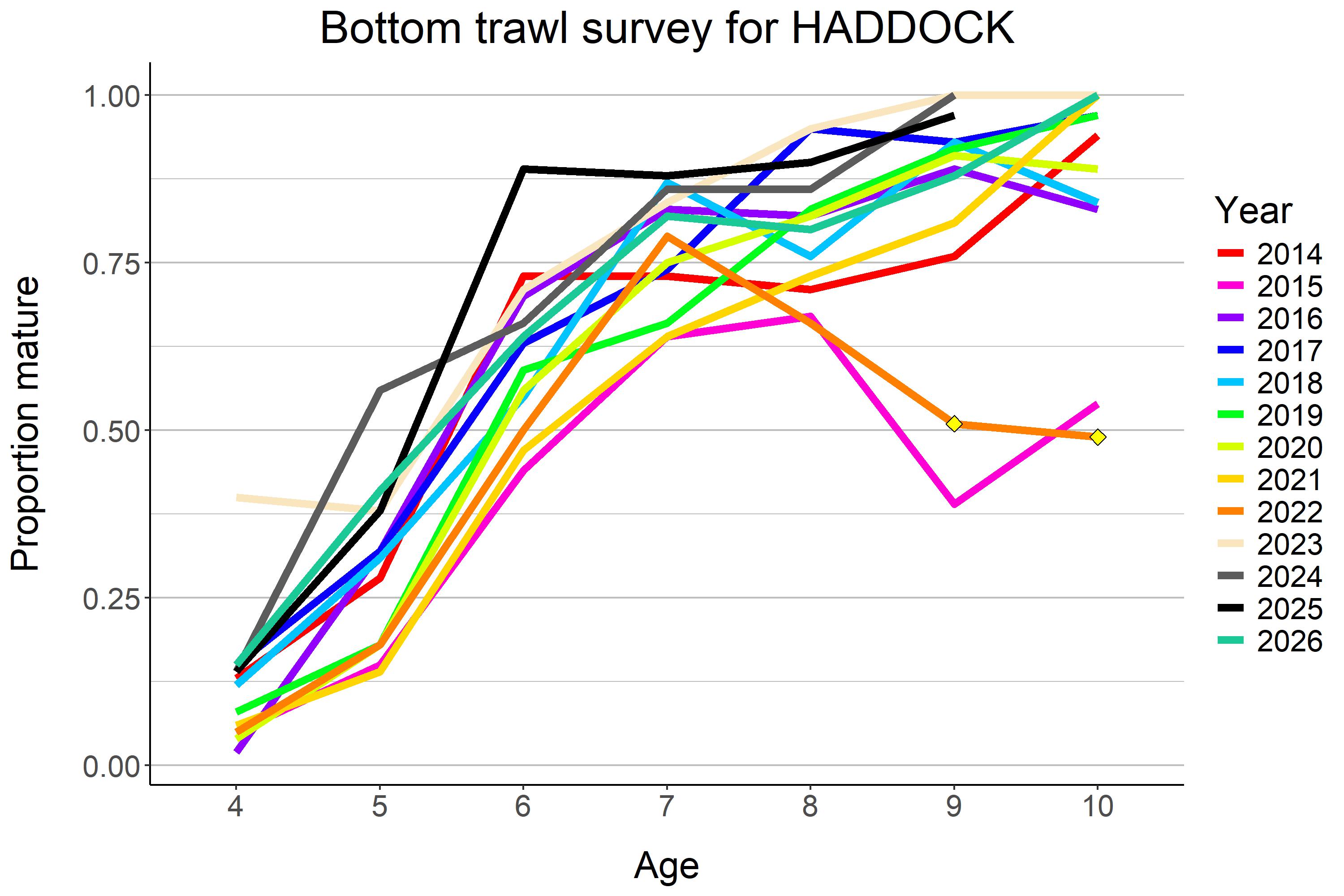 Maturity ogives by year for haddock. 2026 values were on the higher end, but difficult to see clear trends as maturity is quite variable between years.
