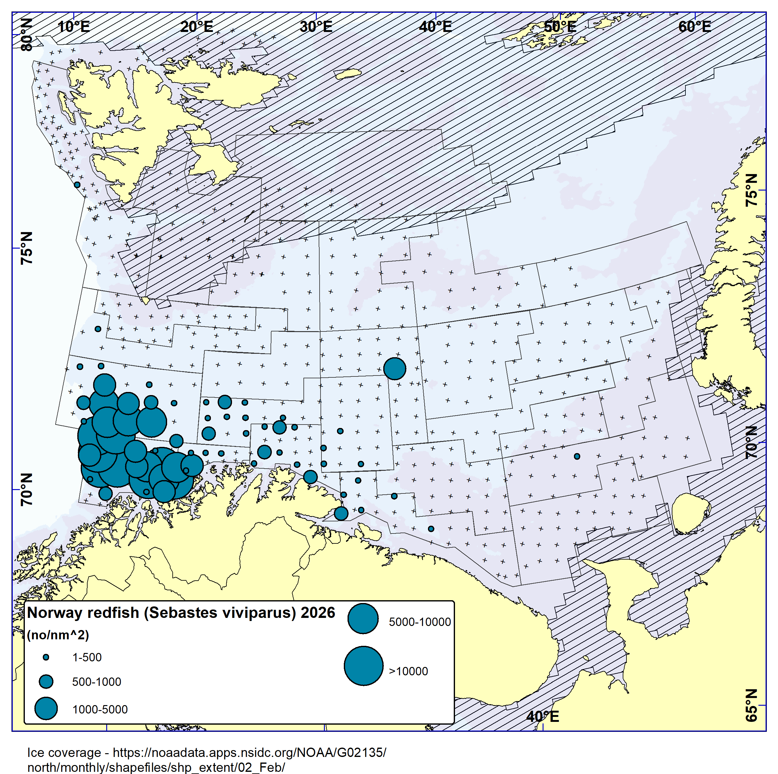 Distribution of Norway redfish catches in 2026. This species was caught almost exclusively in the south-westernmost parts of the survey area.