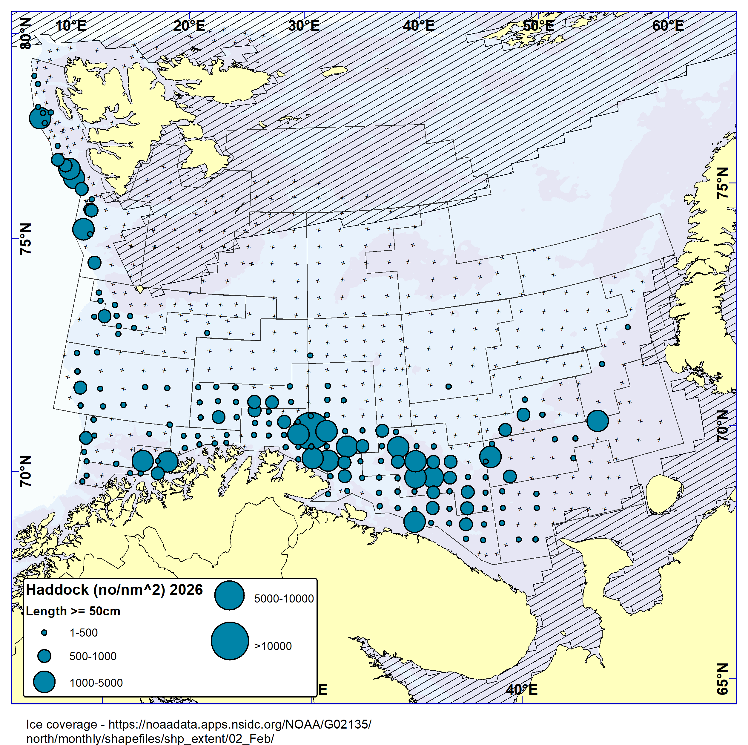 Distribution of haddock > 50 cm based on bottom trawl catches. Highest catches found in the southern-eastern Barents Sea.