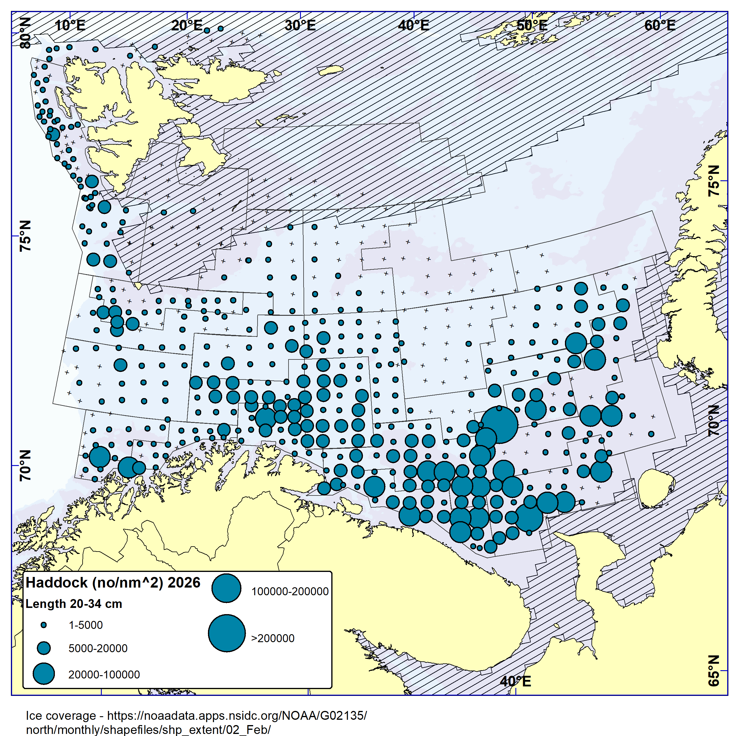 Distribution of haddock 20-34 cm based on bottom trawl catches. Highest catches found in the central-eastern Barents Sea.