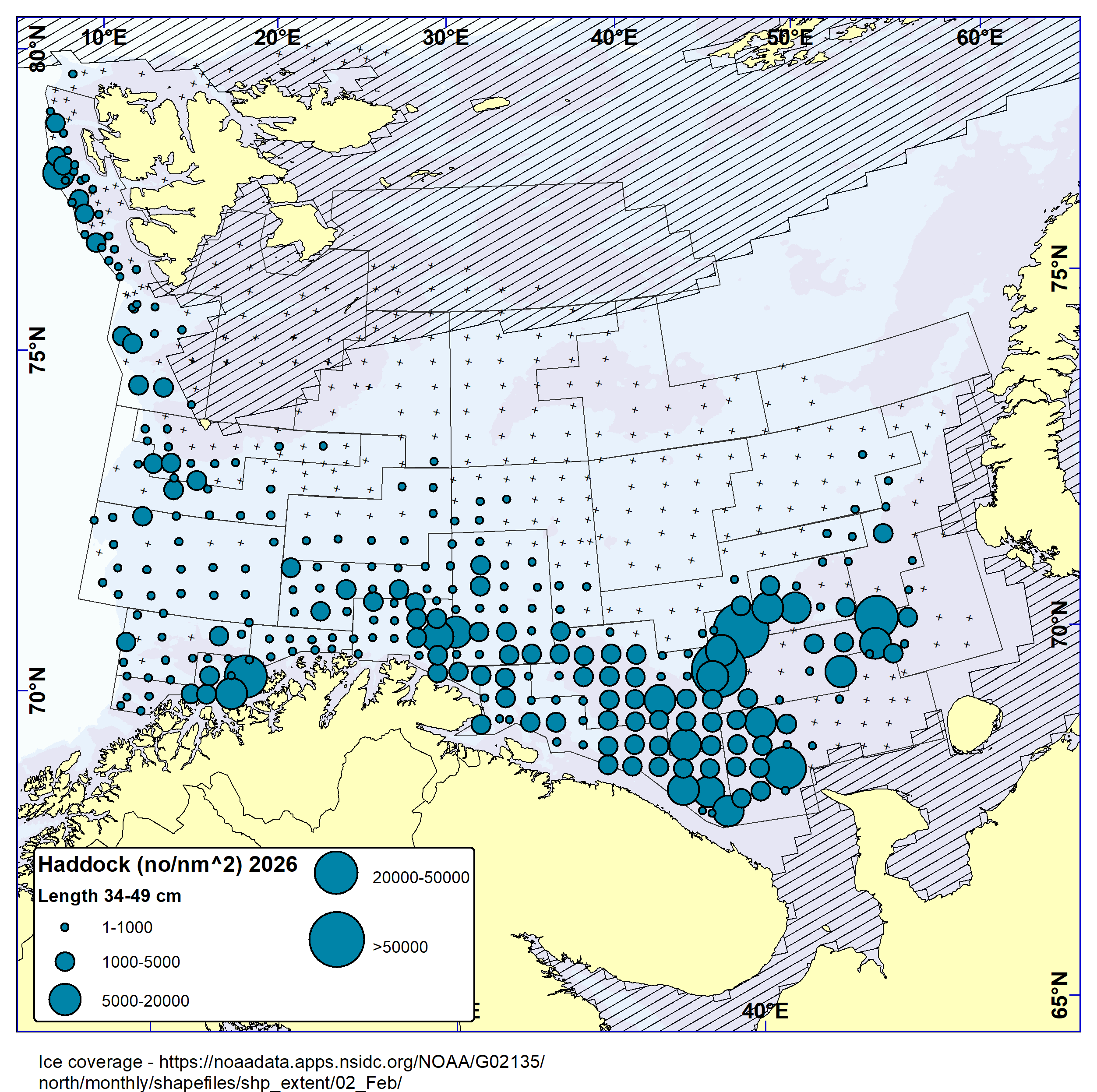 Distribution of haddock 34-49 cm based on bottom trawl catches. Highest catches found in the southern-eastern Barents Sea.