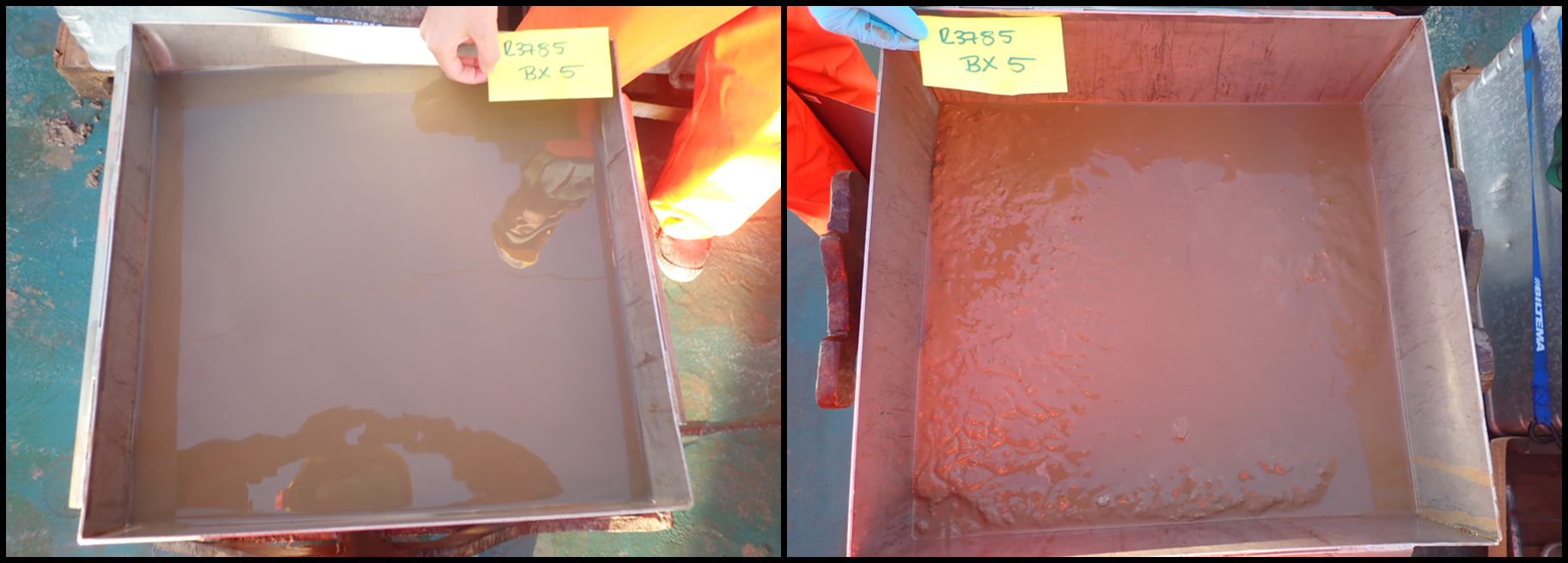 2 Box corers with muddy water