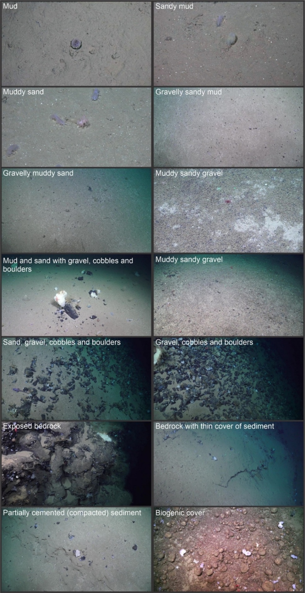 Overview of the different seabed types observed