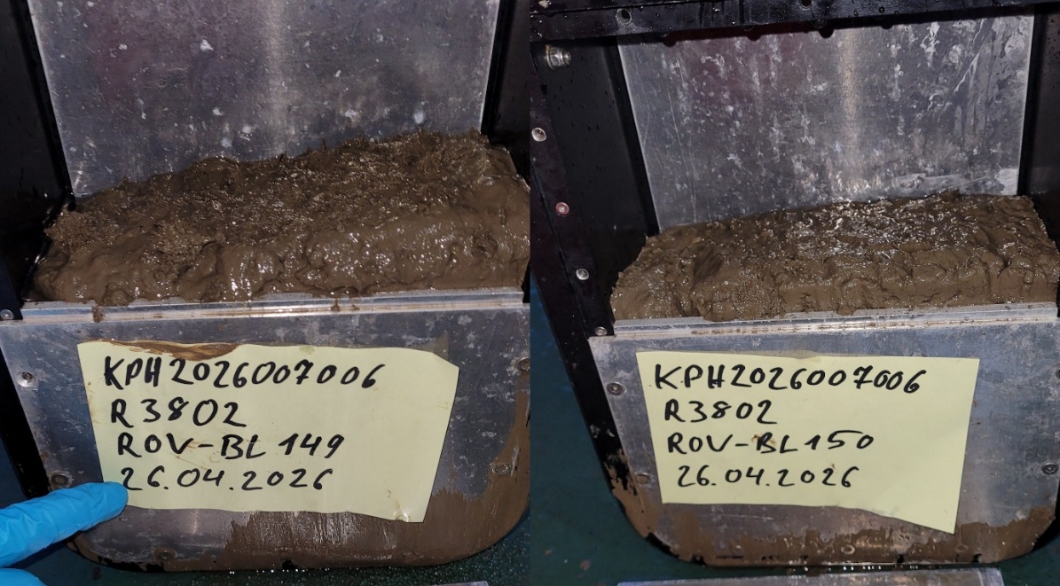 Picture of the aluminum Blade corer samples 