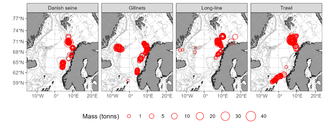 Figure 8 ‑ 3 . Spatial distribution of catches where Greenland halibut make more than 50% of the total catches, according to Norwegian electronic logbooks from 2025. Bubble area is proportional to the size of single catches expressed in metric tonnes.