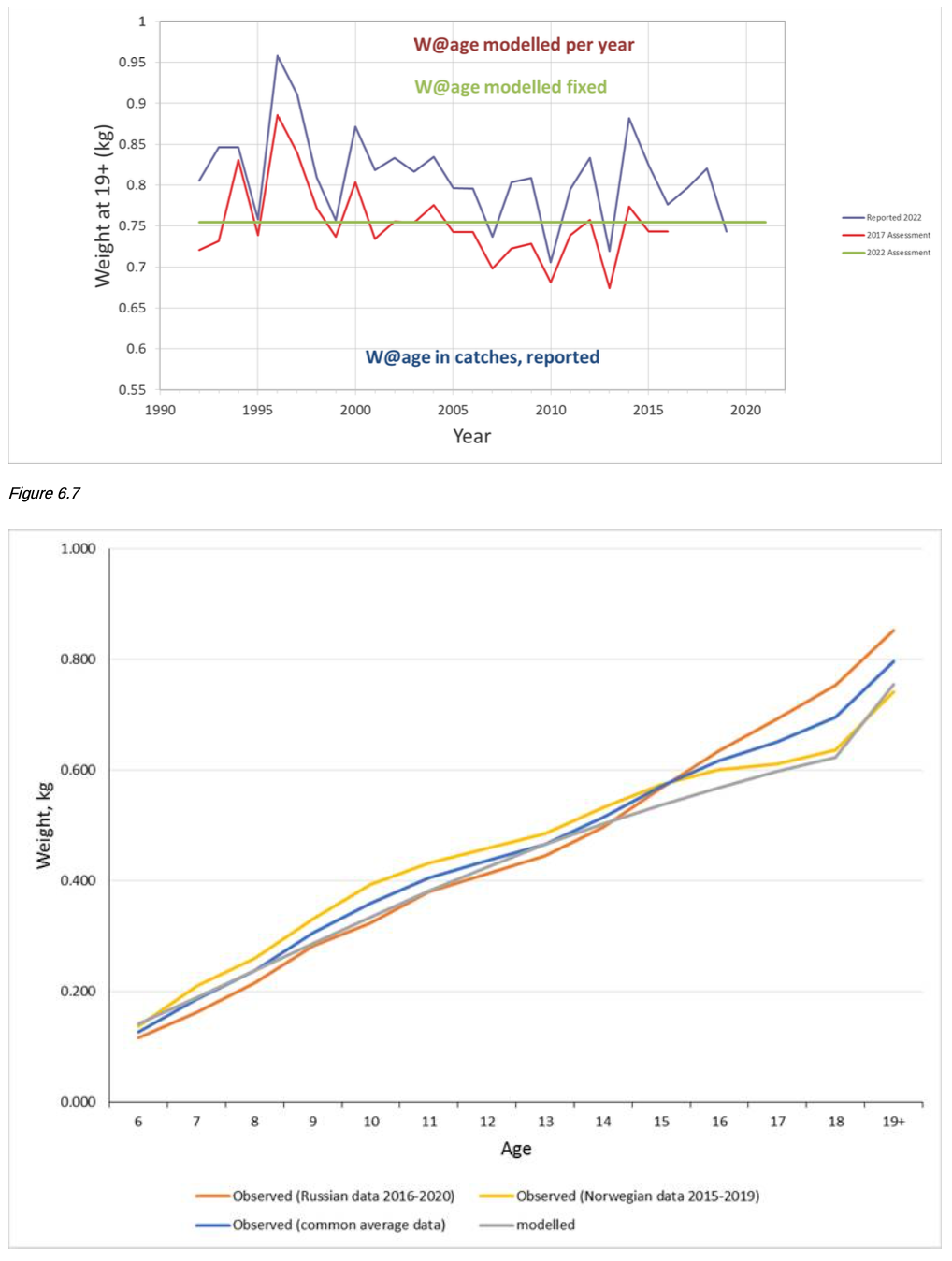 Figure 6.7. S. mentella in subareas 1 and 2. The upper panel shows weight-at-age 19+ as reported from catches (blue) or modelled from catches and survey observations (red) using a mixed effect model. AFWG 2017 was the last working group using the annual mixed effect model. The weights-at-age used in the assessment were based on the fixed effects model and are therefore the same for every year. These weights were updated in 2022 and differ only slightly from those estimated in the assessments since 2018. The bottom panel shows comparison of the observed Norwegian and Russian weight by age with the modelled one up to 2020.