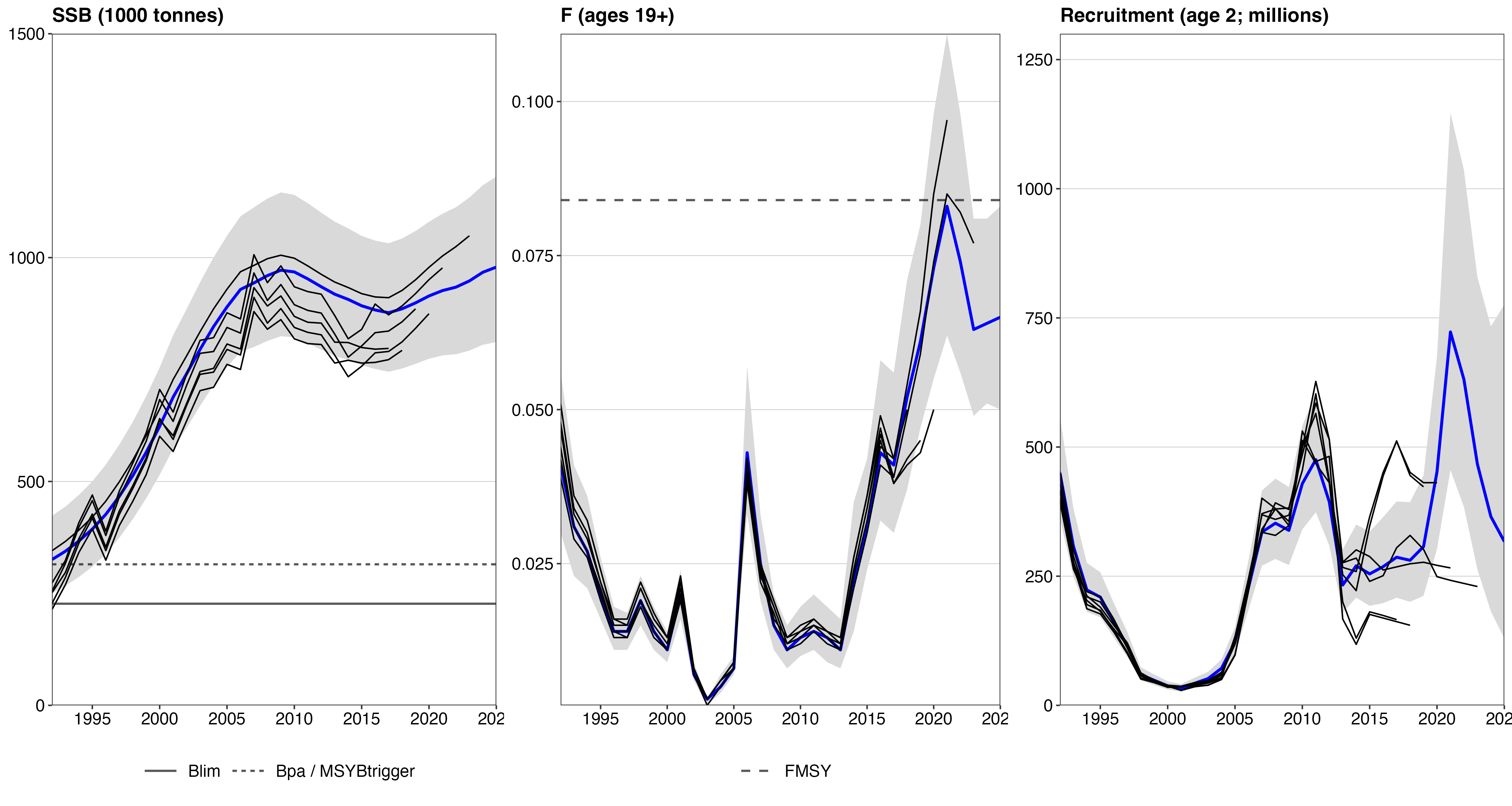 Figure 6.28. Historic retrospective patterns of the spawning-stock biomass, F19+ and recruitment at age 2 of S. mentella as estimated by the SCAA model.
