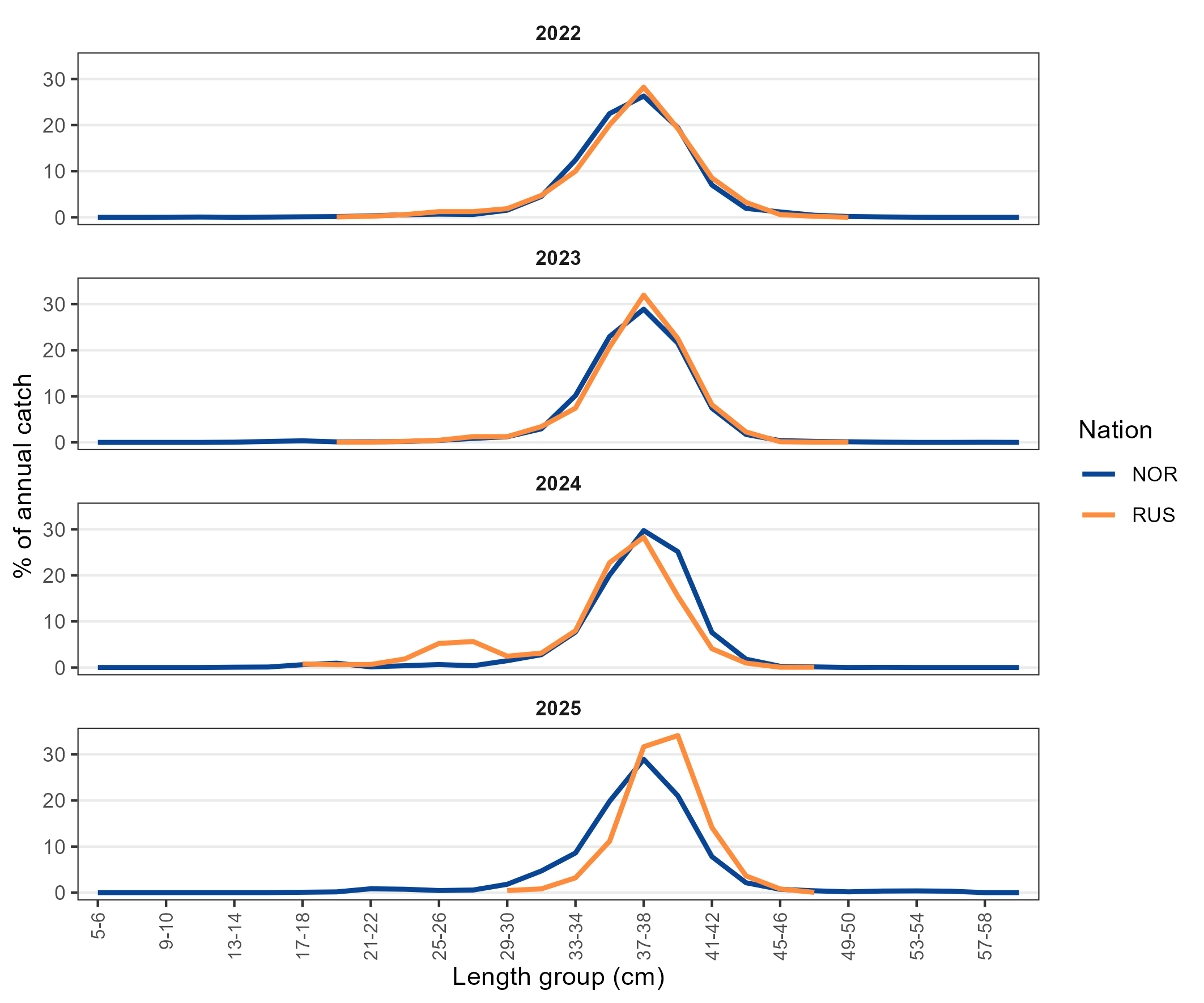 Figure 6.4. S. mentella in subareas 1 and 2. Length-distributions of the commercial demersal catches by Norway and Russia in 2022–2025.