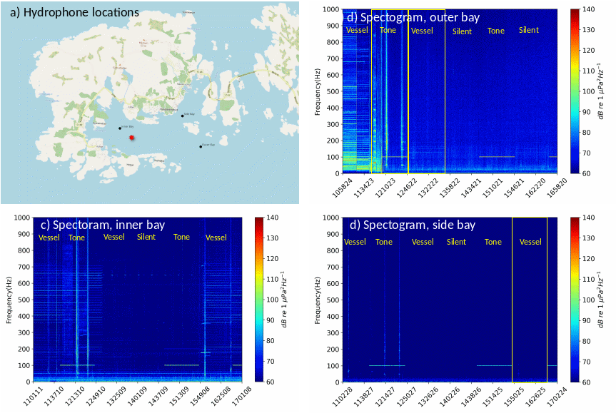 Figure 14. Hydrophone recordings from feb/march 2024. a) Location of placement of the three hydrophones (black dots) and the sound source (red diamond). Spectrogram of the various hydrophones; outer bay (b), inner bay (c) and side bay (d).  