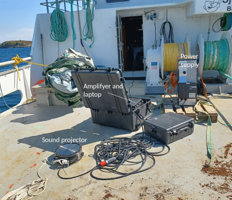 Figure 4 Sound source and equipment used to transmit a low frequency tone
