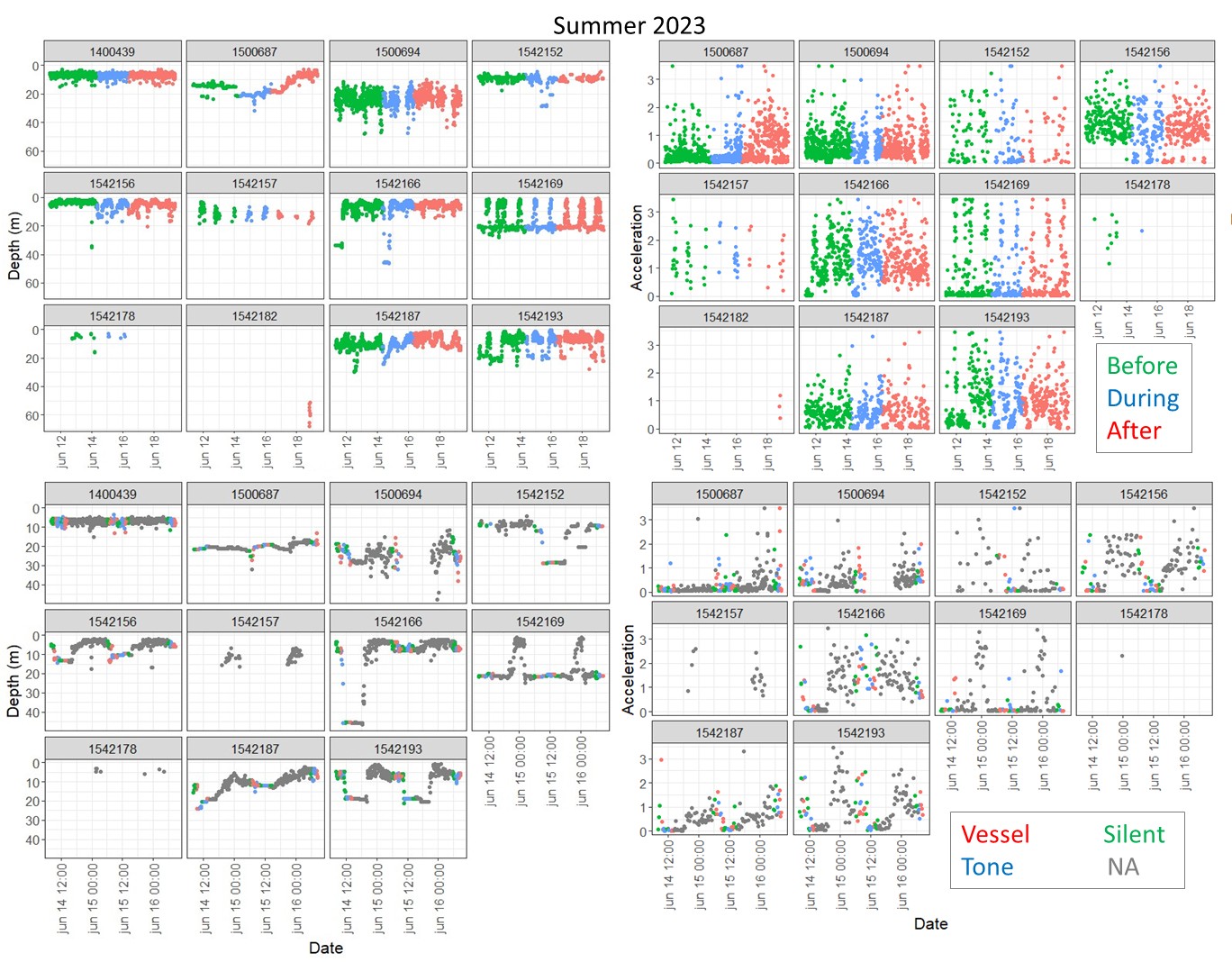 Figure 29. Depth (left) and acceleration (right) for Before-During- After (upper level) and Treatment (lower level) periods for summer 2023. Each of the BDA periods comprise the total number of days of the exposure period, while the treatment level are the 1 h exposure period. 