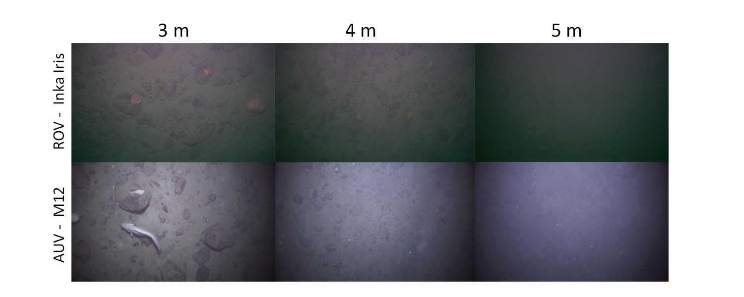 Seks bilder av sjøbunnen som sammenligner ROV-kameraet Cathx Inka Iris i øverste rad med AUV-kameraet Cathx M12 i nederste rad, tatt fra tre, fire og fem meters høyde over bløt- og blandingsbunn.