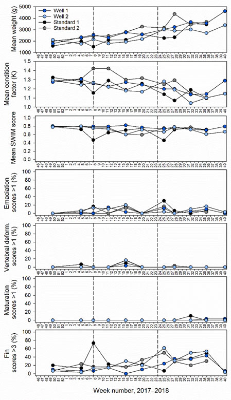 fig-4a.jpg