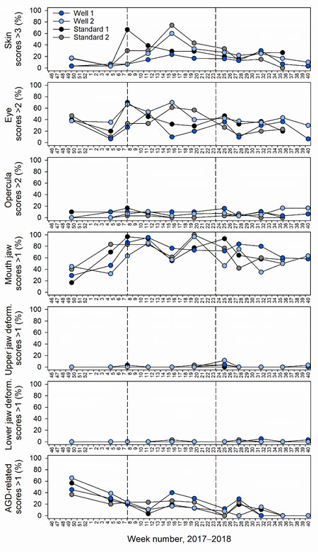 fig-4b.jpg