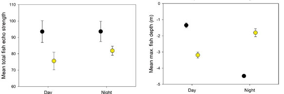 fig-9.jpg