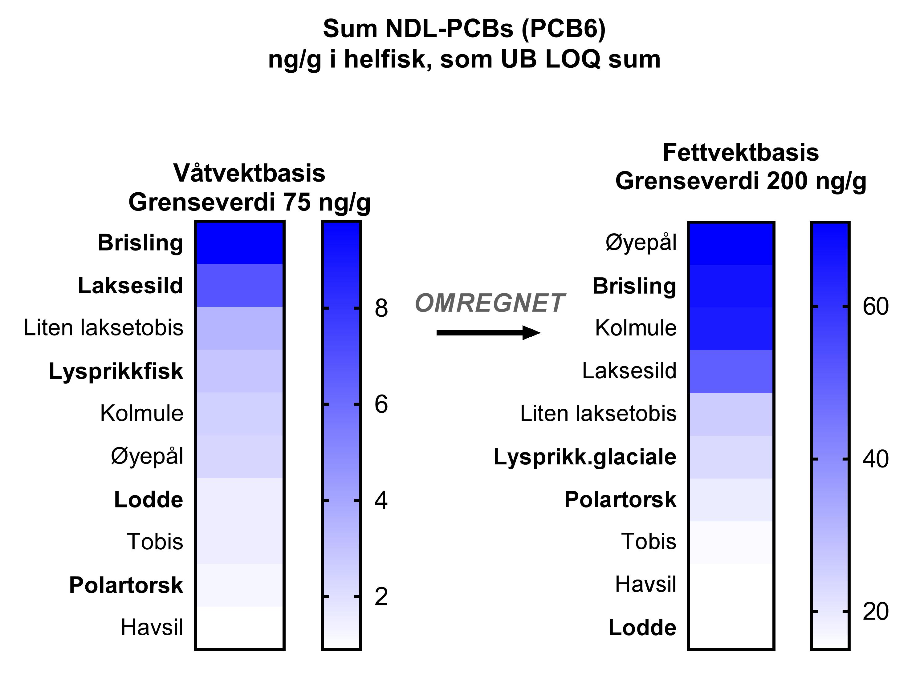 NDL PCB helfisk_LAST.jpg