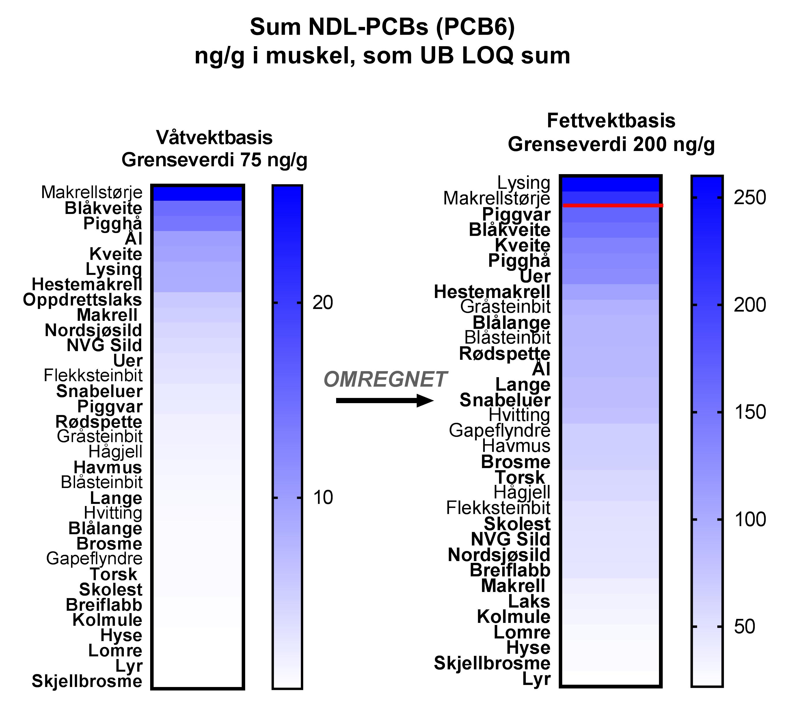 NDLPCB Muskel_LAST.jpg