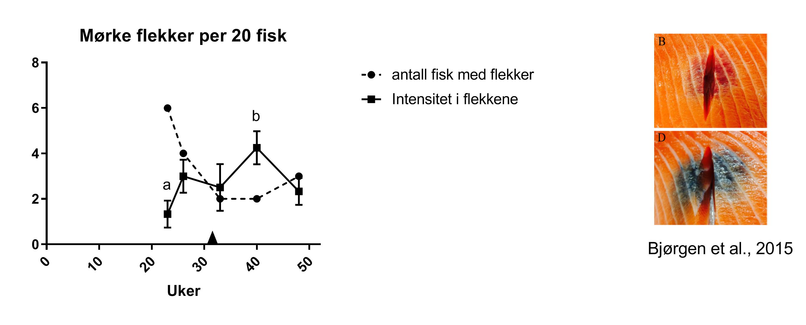 Figur 12 Mørke flekker.jpg