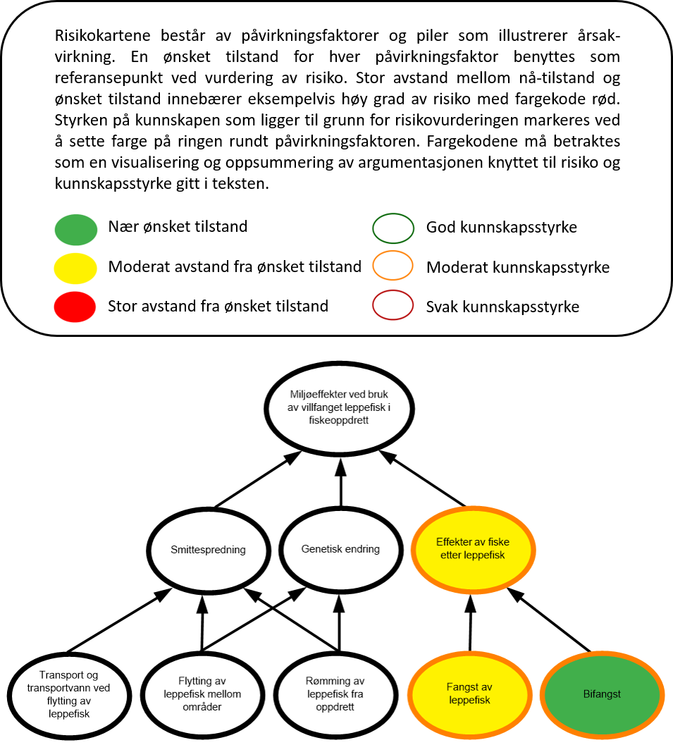 Figur 7.1 Faktorer som knyttes til miljøeffekter ved bruk av villfanget leppefisk i fiskeoppdrett.