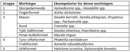 Figuren viser grupperinger av svamp