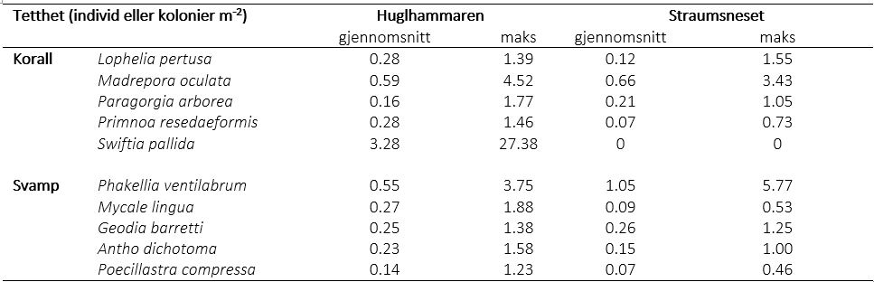 Figuren viser eksempel på oppsett av tetthetstabeller 