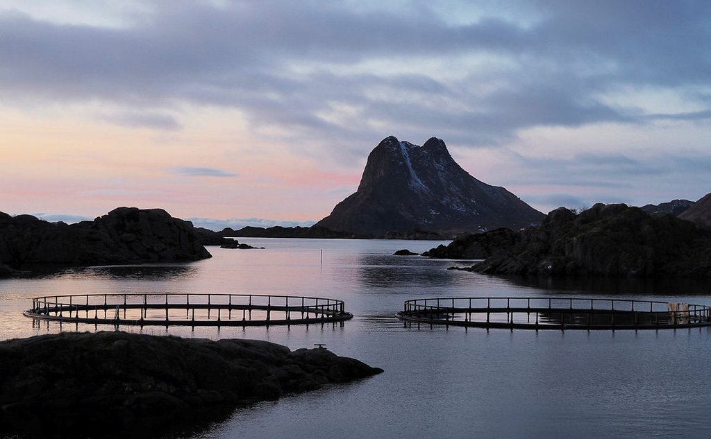 Naturbilde med sjø og fjell. Midt i bildet viser to oppdrettsmerder.