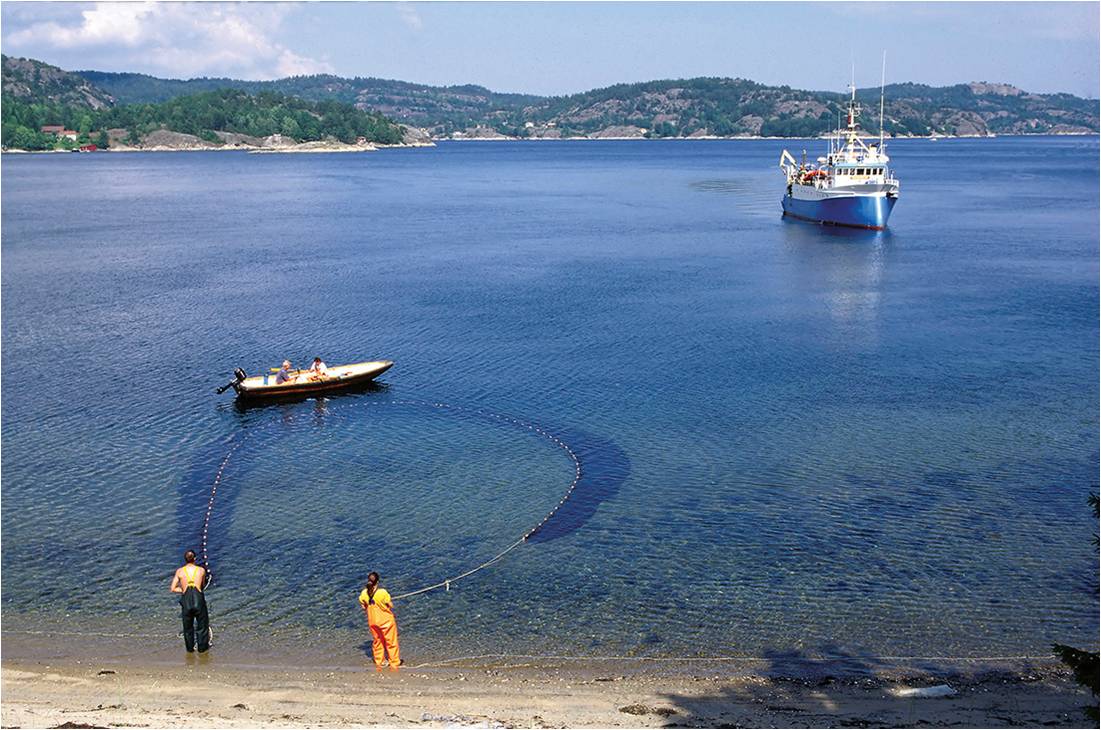 beach seine.jpg