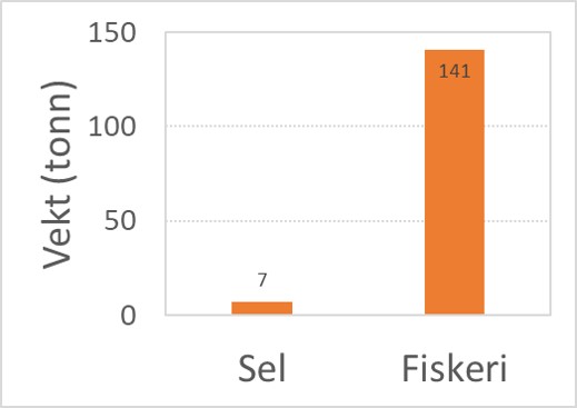 Fig 11_2.3.2.4.jpg