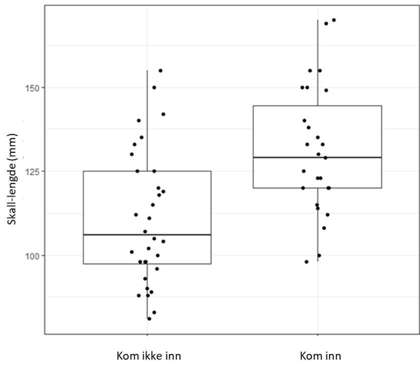 Fig 3 KK rapport.jpeg