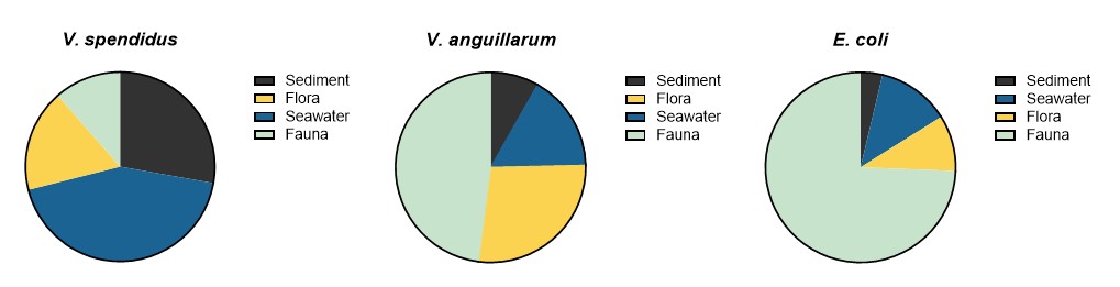 Figur 11.jpg